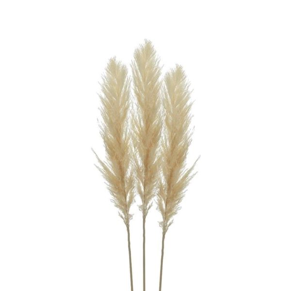 Κλαδί/Φυτό Εκρού Σετ 3 - 110 cm