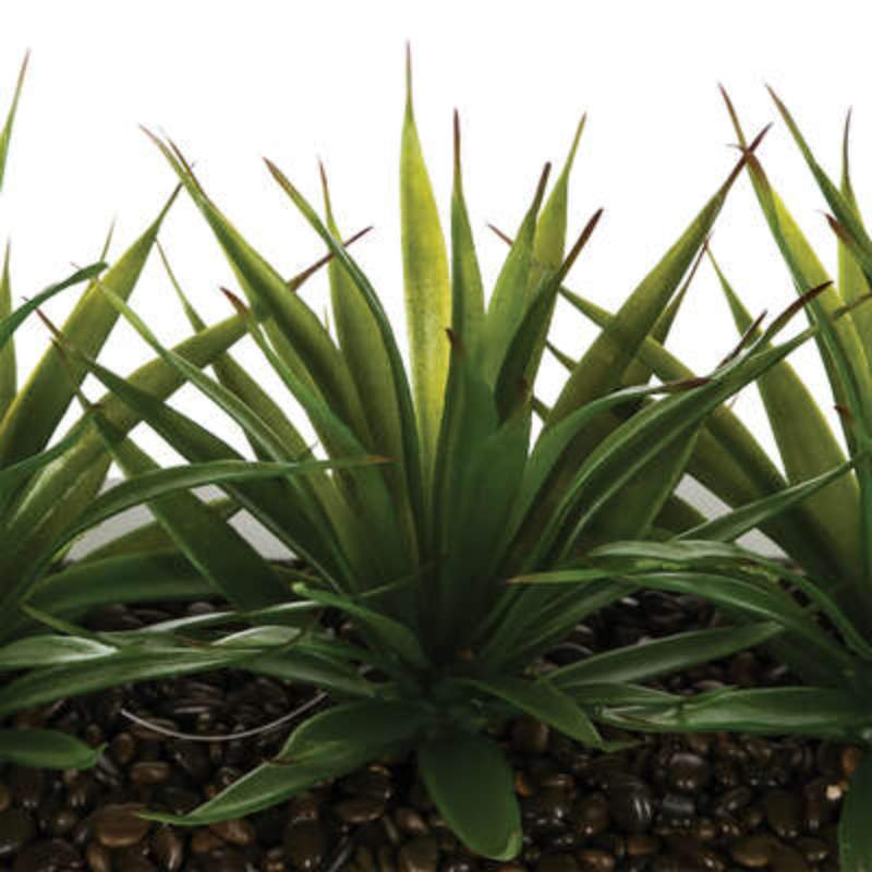 Διακοσμητικό Φυτό Aloe Vera Polyester MDF 35x14,8 x17,5 cm