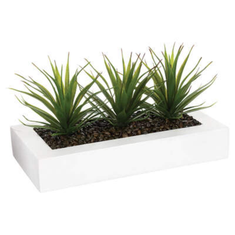 Διακοσμητικό Φυτό Aloe Vera Polyester MDF 35x14,8 x17,5 cm