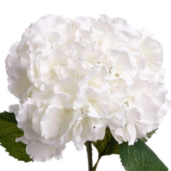 Διακοσμητικό Φυτό ''Ορτανσία'' απο Πολυεστέρα Λευκό 37 x29 x 81 cm