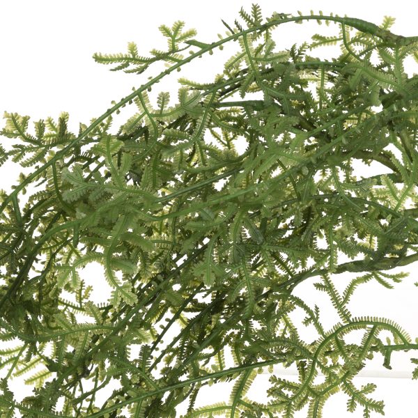 Διακοσμητικό φυτό ''WATER GRASS'' απο Πολυεστέρα Πράσινο 38 x 30 x 54 cm