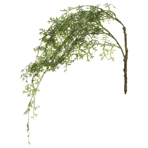 Διακοσμητικό φυτό ''WATER GRASS'' απο Πολυεστέρα Πράσινο 38 x 30 x 54 cm