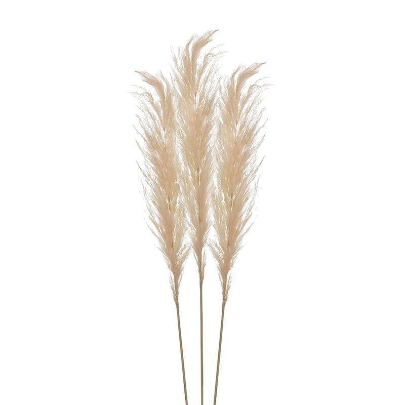 Σετ 3 Κλαδιά Pampas Grass Ροζ/Μπεζ 110cm